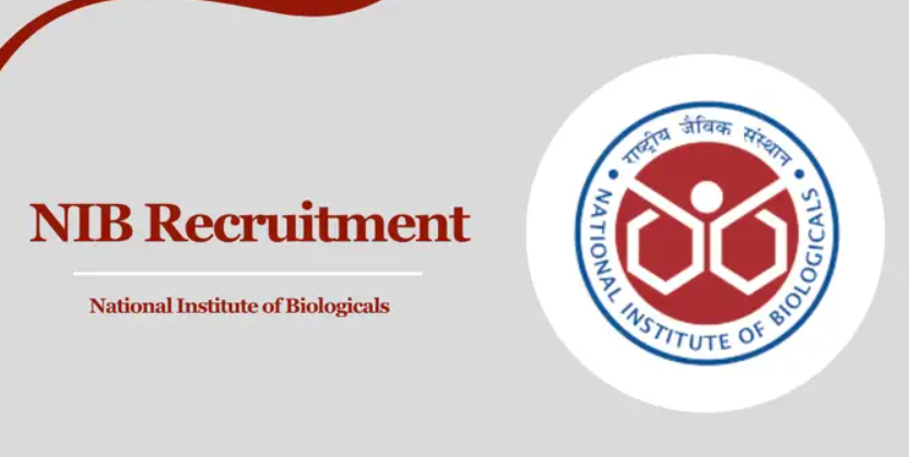 Nib recruitment 2024 apply online